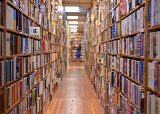 Your Favorite Story is an Obstacle to Success